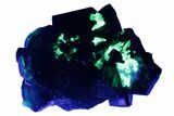 Black Tourmaline (Schorl) Crystals with Hyalite Opal - Namibia #239651-1